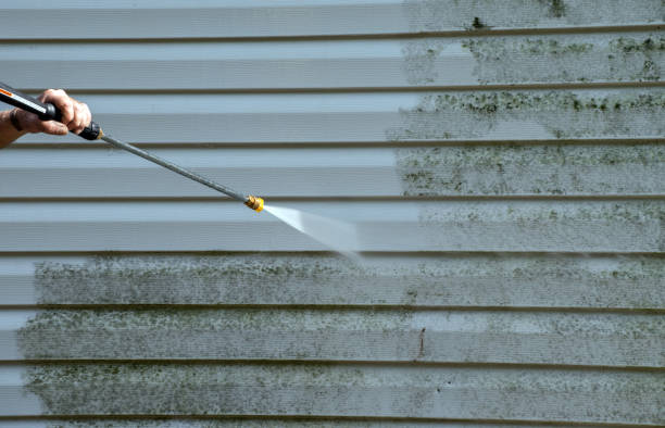 Best Roof Power Washing Services  in Lemay, MO