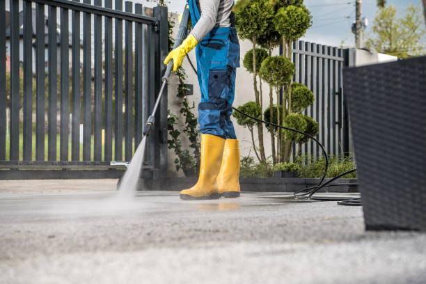 Best Deck Cleaning Services  in Lemay, MO